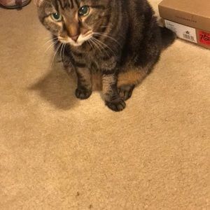 Meet your Posher, Kevin